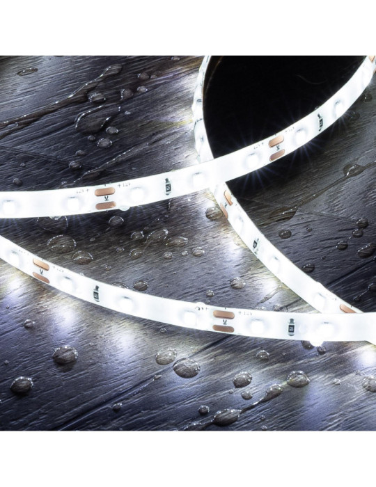 Ruban LED 12V DC SMD2835 60LED/m 5m IP65 Largeur 8mm Coupe tous les 5cm