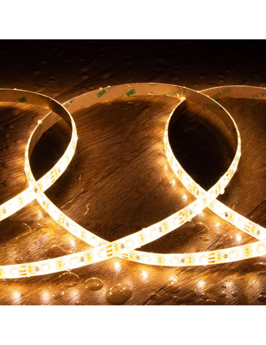 Ruban LED CCT 12V DC SMD2835 120LED/m 5m IP65 Largeur 10mm Coupe 5cm
