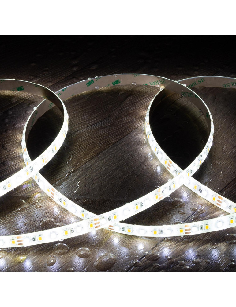 Ruban LED CCT 12V DC SMD2835 120LED/m 5m IP65 Largeur 10mm Coupe 5cm
