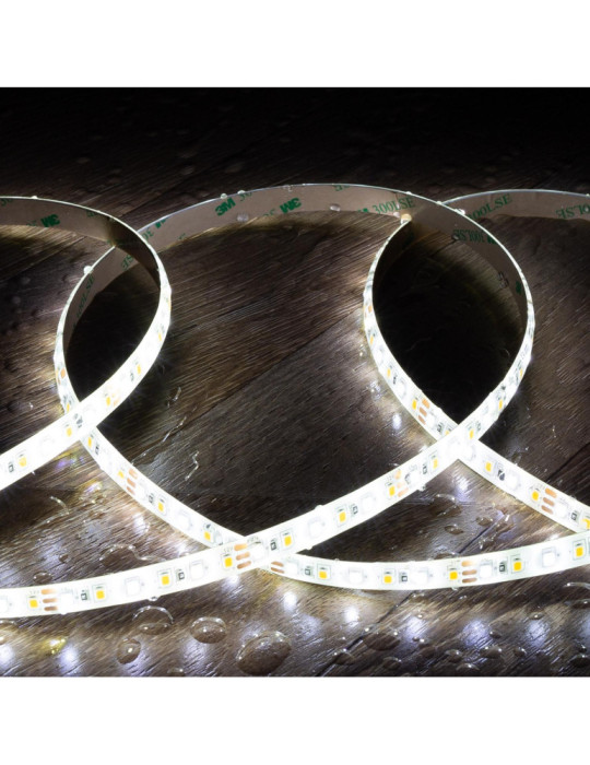Ruban LED CCT 12V DC SMD2835 120LED/m 5m IP65 Largeur 10mm Coupe 5cm