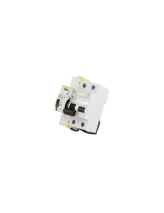 Interrupteur Différentiel Industriel Réarmable Compact 2P-300mA 40-63A-10kA Class A MATIS