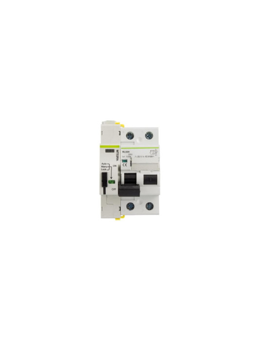 Interrupteur Différentiel Industriel Réarmable Compact 2P-300mA 40-63A-10kA Class A MATIS