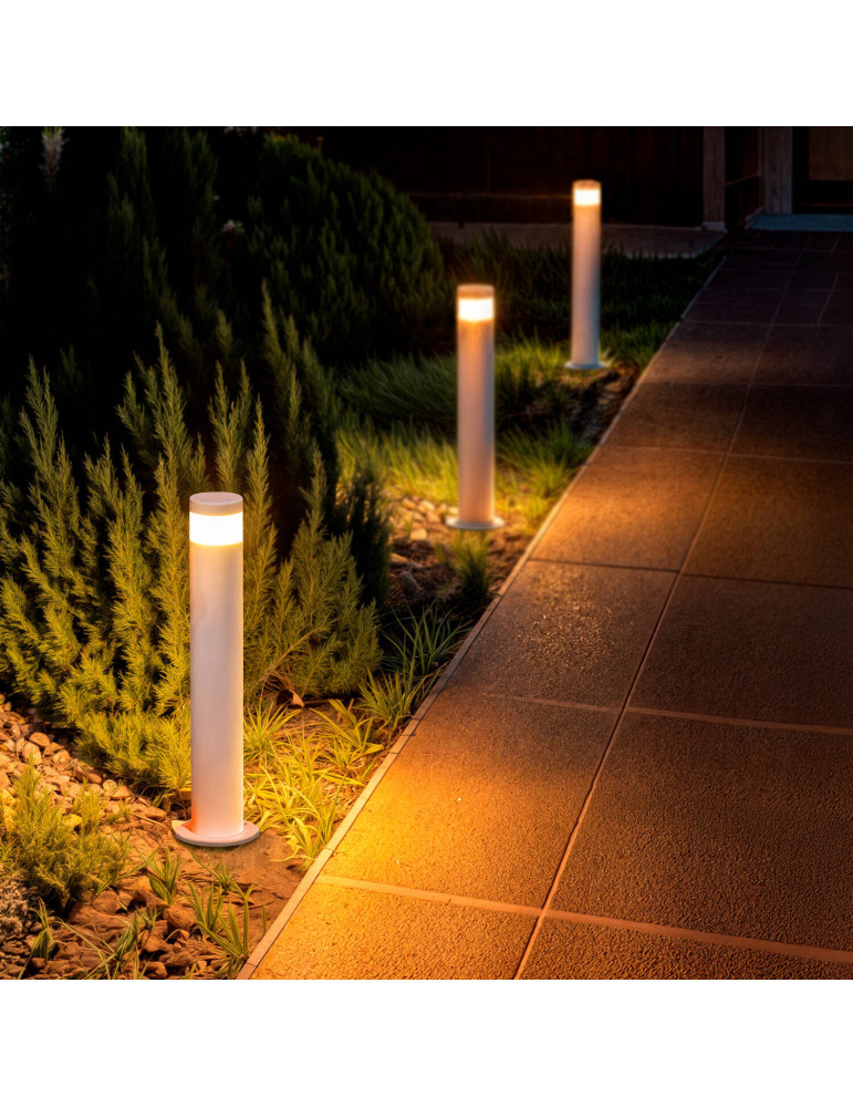 Balise LED Extérieure 5W en Saillie sur Pied 50cm Inti Inox Blanche