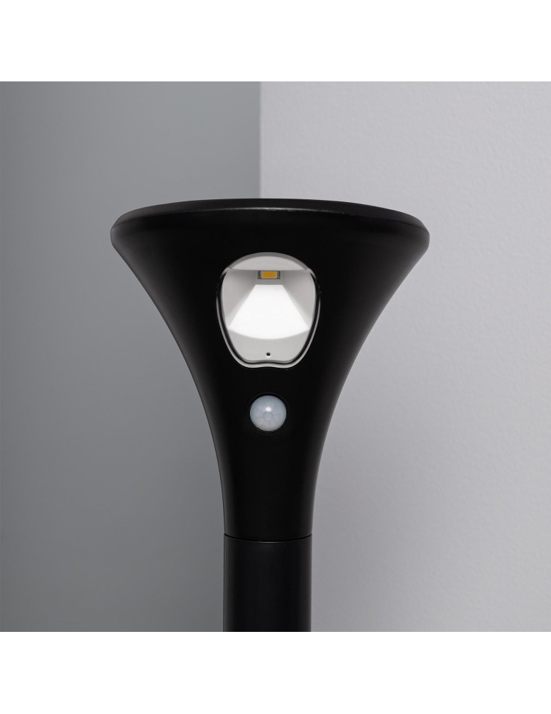 Pack 2 Balises LED Solaire Extérieure sur Piquet 60cm avec Détecteur de Présence PIR