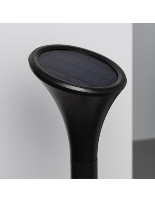 Pack 2 Balises LED Solaire Extérieure sur Piquet 60cm avec Détecteur de Présence PIR