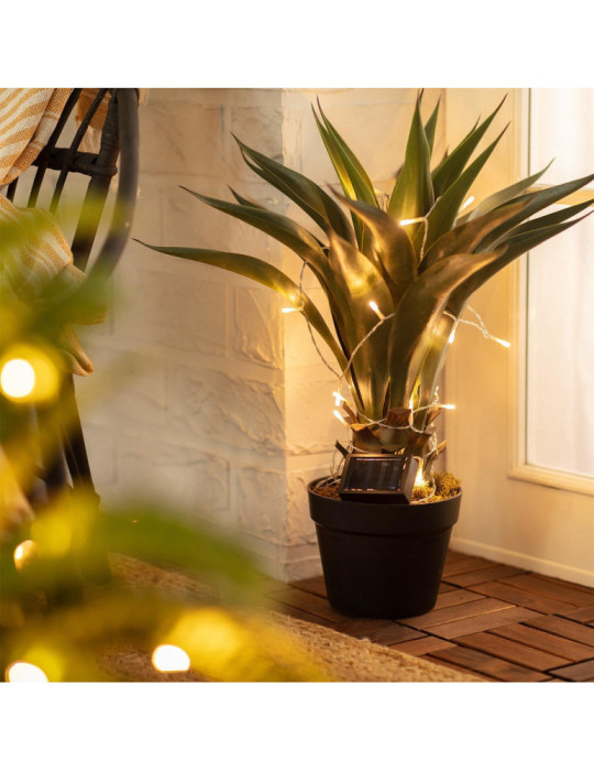 Guirlande LED Extérieure Solaire Lilac 2m