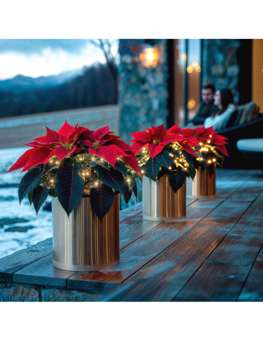 Guirlande LED Extérieure Solaire Lilac 2m