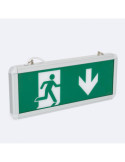 Éclairage de Secours LED en Saillie/Suspendu 60 lm Permanent avec Panneau Une Face