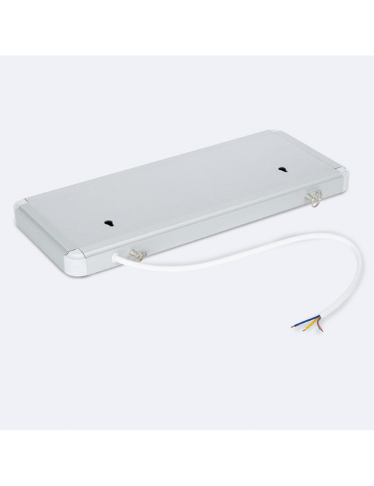 Éclairage de Secours LED en Saillie/Suspendu 60 lm Permanent avec Panneau Une Face