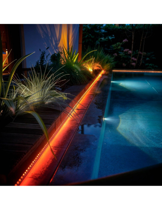 Ruban LED 12V DC RGB SMD Silicone FLEX 60LED/m 5m IP68 Largeur 12mm Coupe tous les 5cm