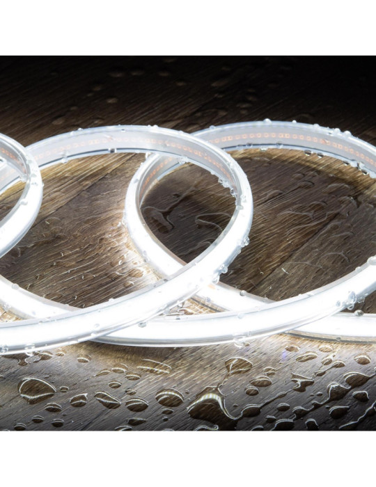 Ruban LED 220V COB 320 LED/m Blanc Froid IP65 CRI90 Largeur 12mm Coupe tous les 50cm