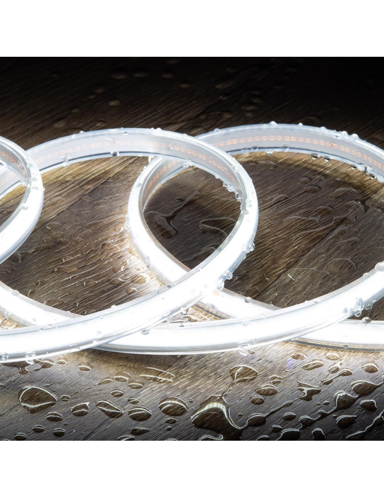 Ruban LED 220V COB 320 LED/m Blanc Froid IP65 CRI90 Largeur 12mm Coupe tous les 50cm