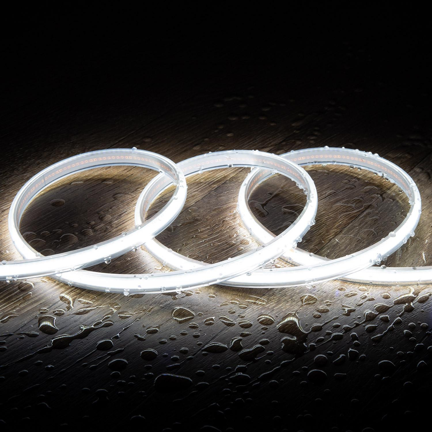 Ruban LED 220V COB 320LED/m Blanc Froid IP65 CRI90 Largeur 12mm Coupe tous les 50cm 25 m
