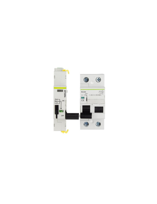 Interrupteur Différentiel Industriel Réarmable Compact 2P-30mA 40-63A-10kA Class A MATIS