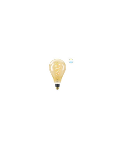 Ampoule LED E27 Filament 6