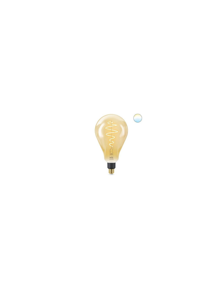 Ampoule LED E27 Filament 6