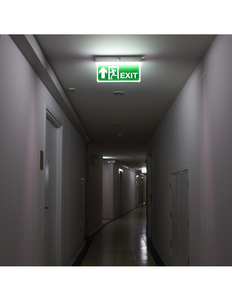 Éclairage de Secours LED 10lm avec Panneau Double Face