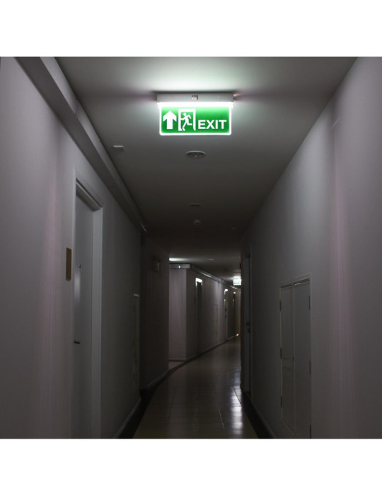 Éclairage de Secours LED 10lm avec Panneau Double Face