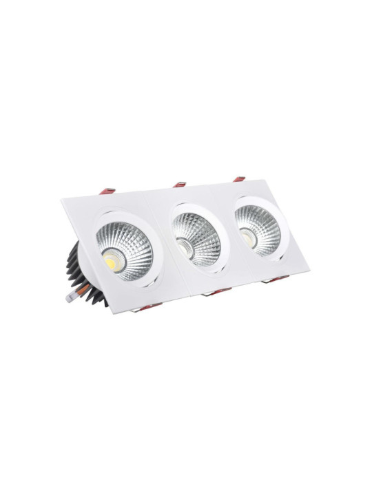 Spot Downlight LED 10W Rectangulaire Madison Coupe 255x75 mm