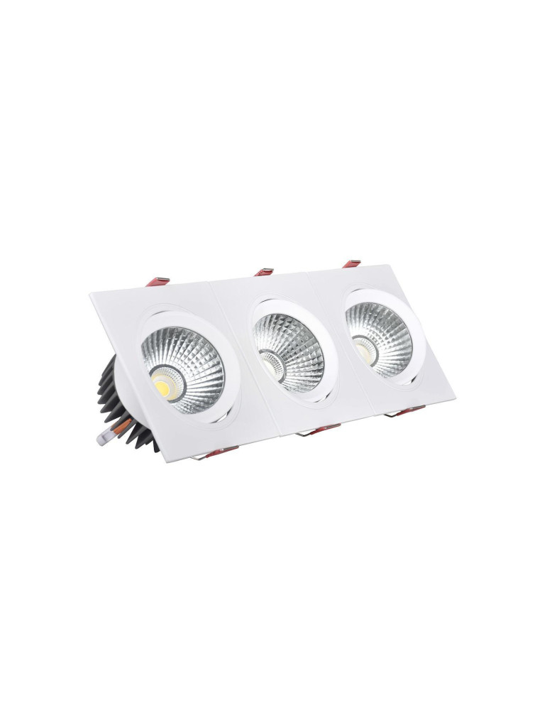 Spot Downlight LED 10W Rectangulaire Madison Coupe 255x75 mm