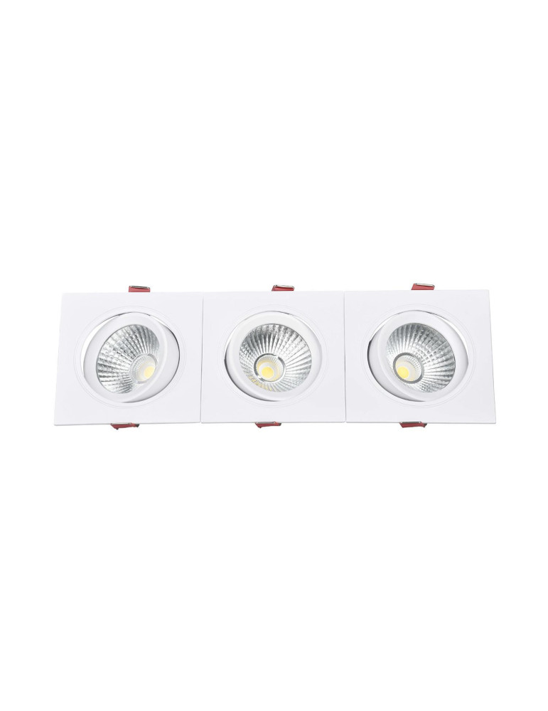 Spot Downlight LED 10W Rectangulaire Madison Coupe 255x75 mm