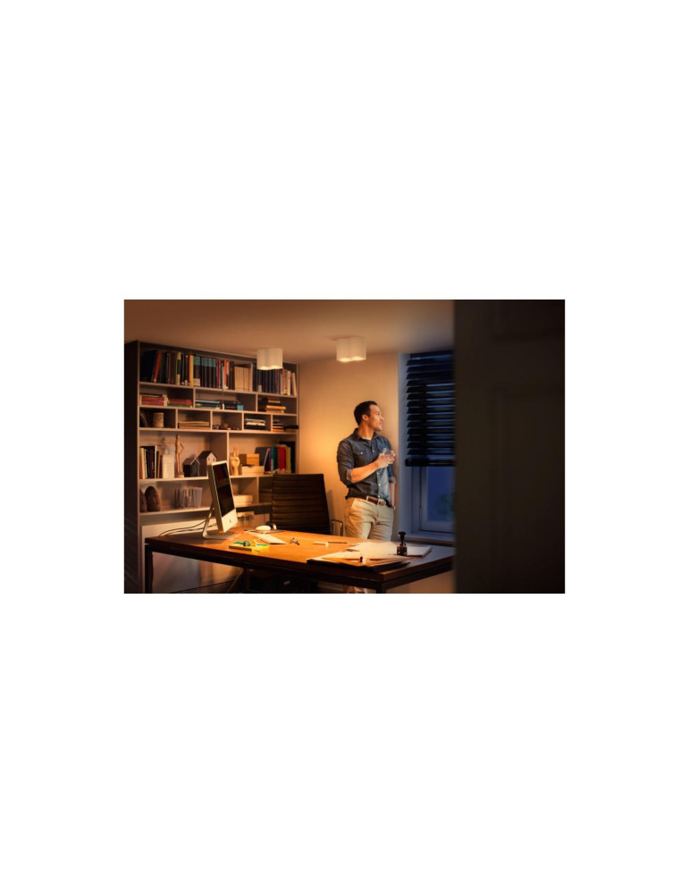 Plafonnier White Ambiance Double Pillar PHILIPS Hue