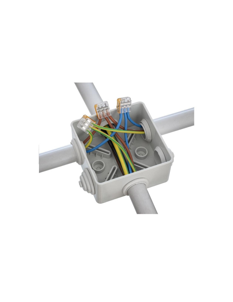 Pack 20 Connecteurs Rapides 2 Entrées pour Câble Électrique 0.08-4mm²