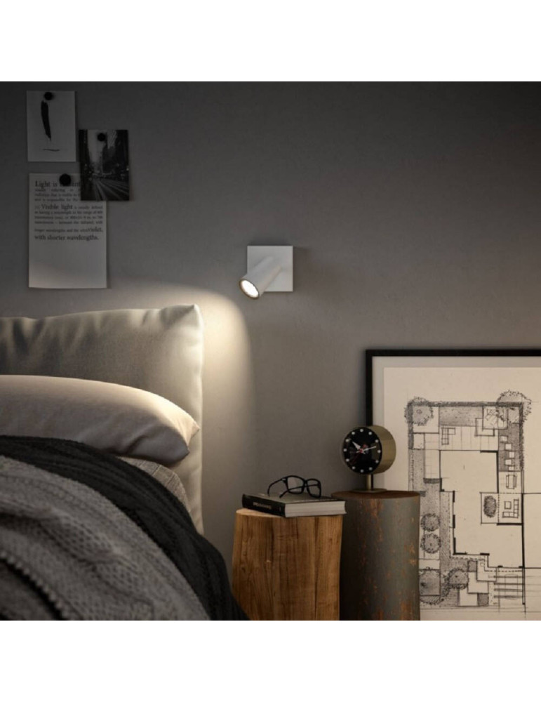 Plafonnier PHILIPS Paisley 1 Spot