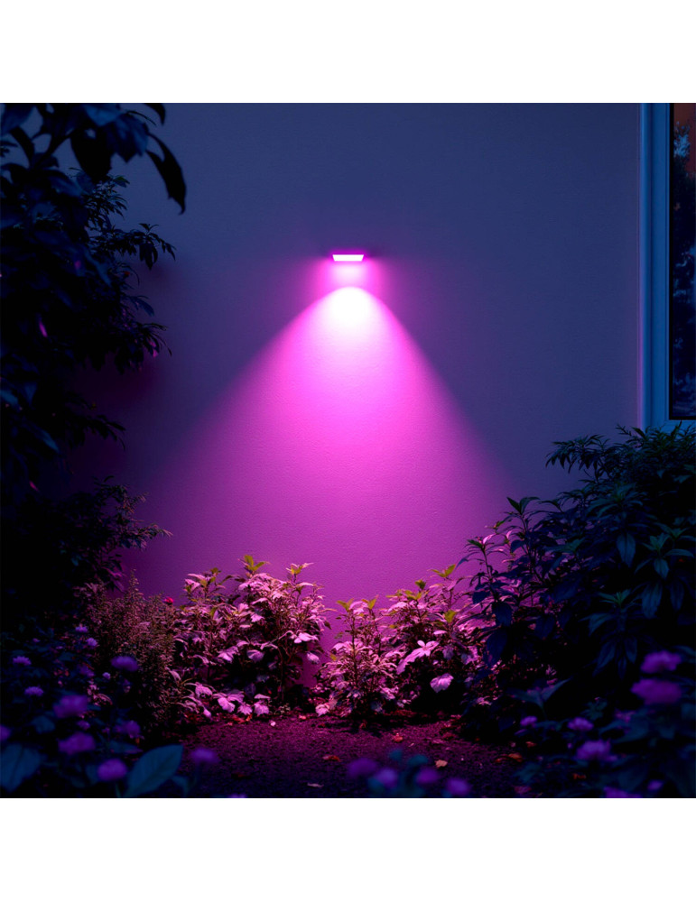 Projecteur LED 10W RGB IP65 S2 Pro avec Télécommande IR