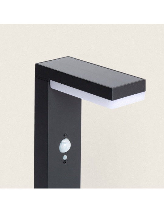 Balise Extérieure LED Solaire sur Pied 2W 50cm Aluminium avec Détecteur de Mouvement Goran