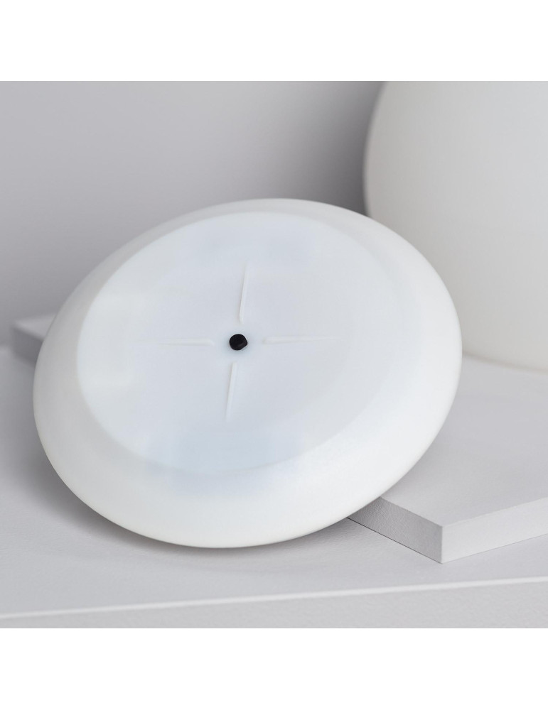 Sphère LED Solaire 25cm