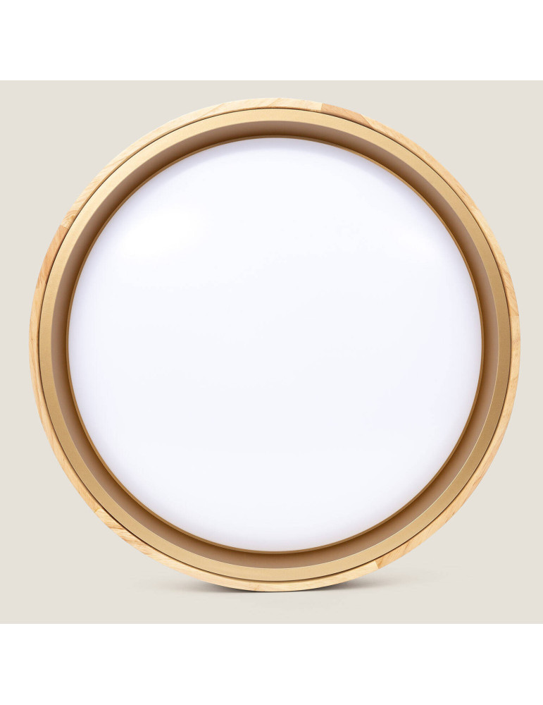 Plafonnier LED 24W Rond Métal Ø400 mm Lunder