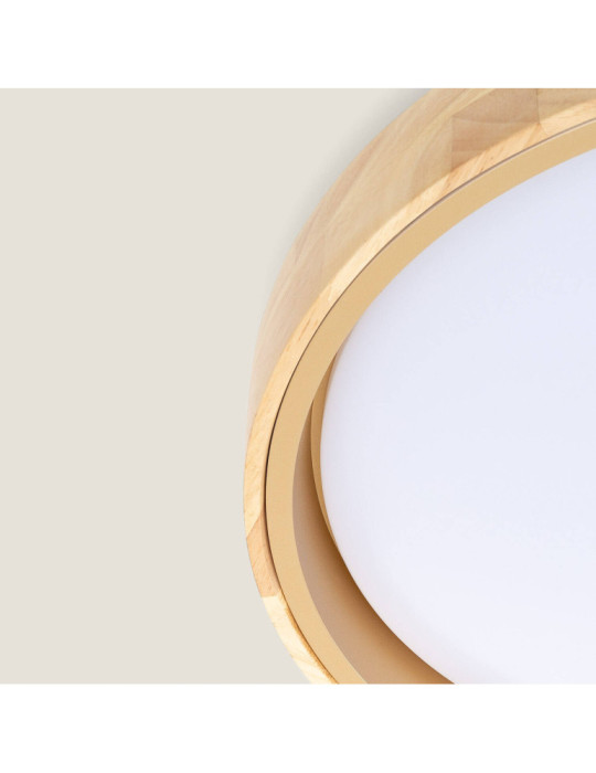 Plafonnier LED 24W Rond Métal Ø400 mm Lunder