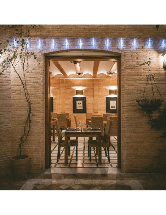 Guirlande Lumineuse Extérieure LED Blanc Froid de 5