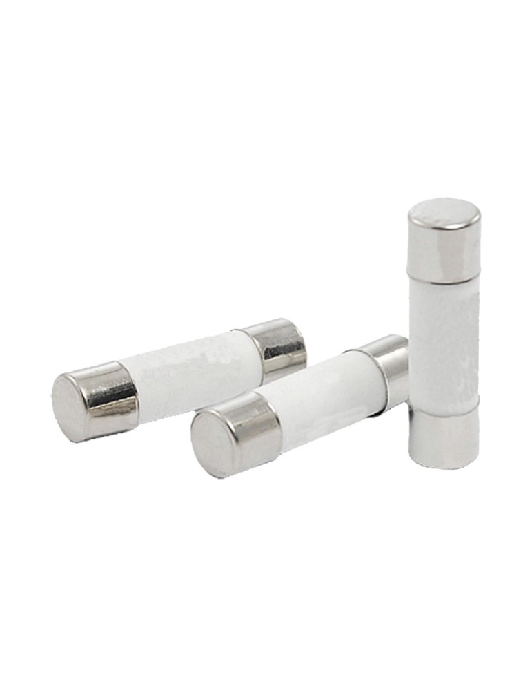 Fusible gM 10x38mm Max 500V AC MAXGE