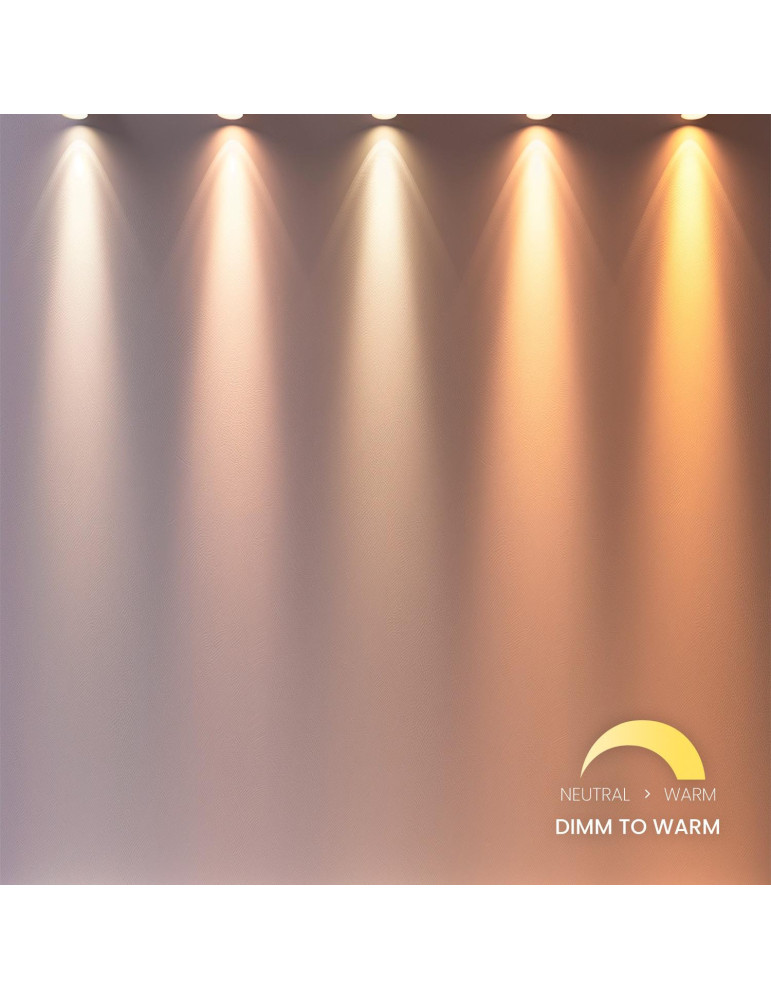 Spot LED sur Rail Triphasé 15W Justin Dimmable Dim To Warm