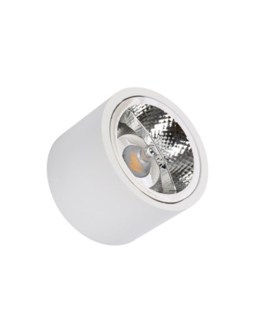 Spot LED 12W en Saillie AR111 Ø 80 mm