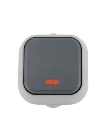 Bouton-poussoir Simple avec Voyant Lumineux IP54