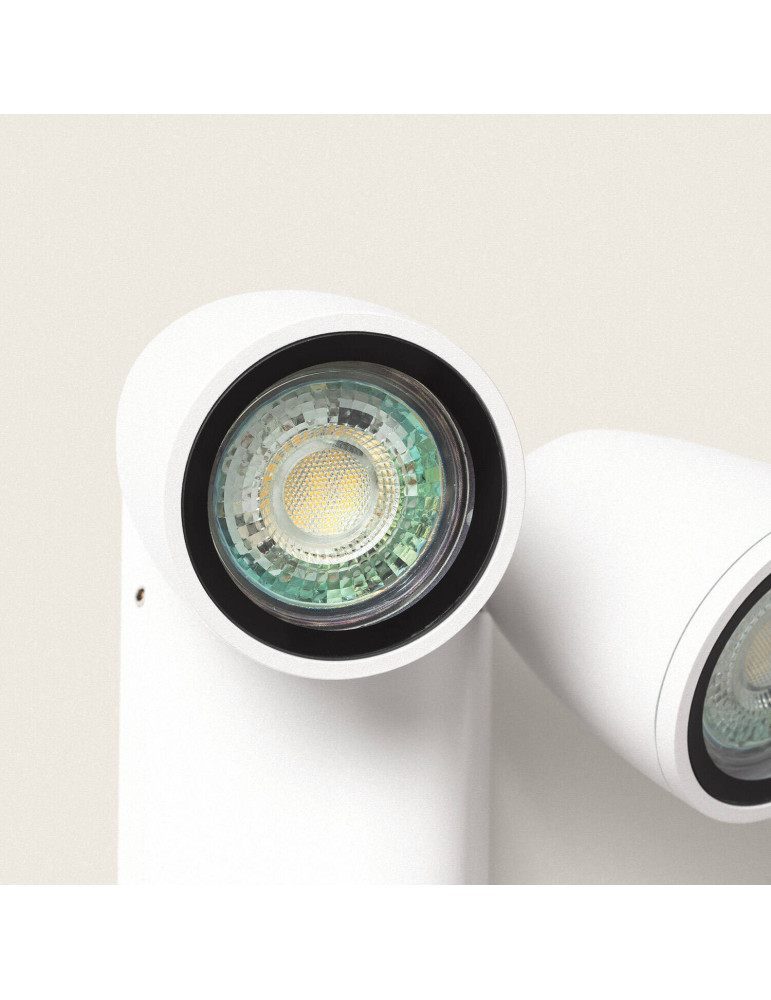 Applique Murale Extérieure Aluminium avec Détecteur de Mouvement Abel Deux Spots