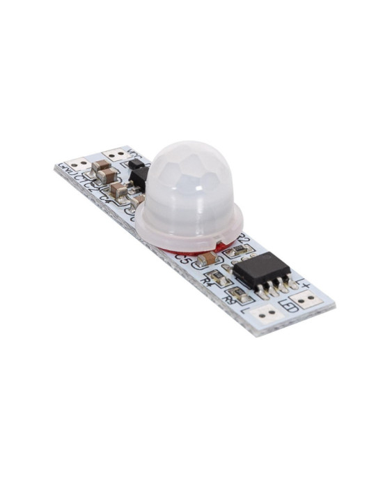 Détecteur de Présence PIR Mini 180º 12/24V