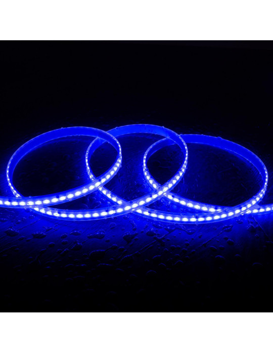 Ruban LED RGBIC Digital SPI 24V DC COB Silicone FLEX 360 LED/m 5m IP65 Largeur 12mm Coupe tous les 5 cm