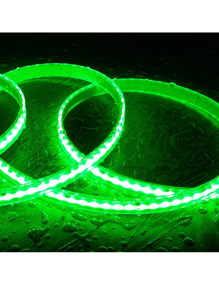 Ruban LED RGBIC Digital SPI 24V DC COB Silicone FLEX 360 LED/m 5m IP65 Largeur 12mm Coupe tous les 5 cm