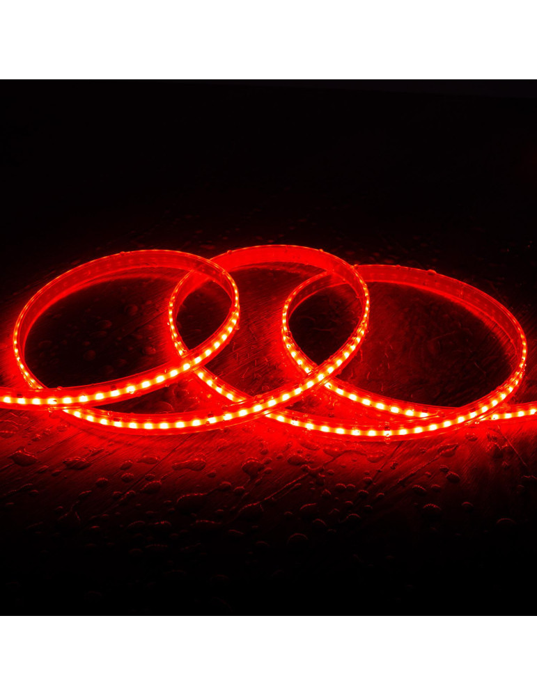 Ruban LED RGBIC Digital SPI 24V DC COB Silicone FLEX 360 LED/m 5m IP65 Largeur 12mm Coupe tous les 5 cm