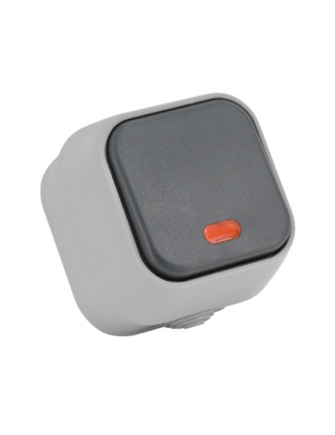 Interrupteur Simple avec Voyant Lumineux IP54