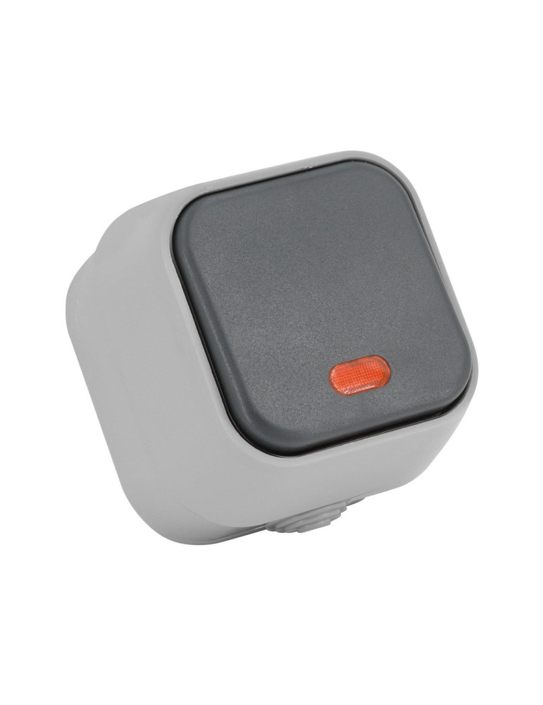 Interrupteur Simple avec Voyant Lumineux IP54