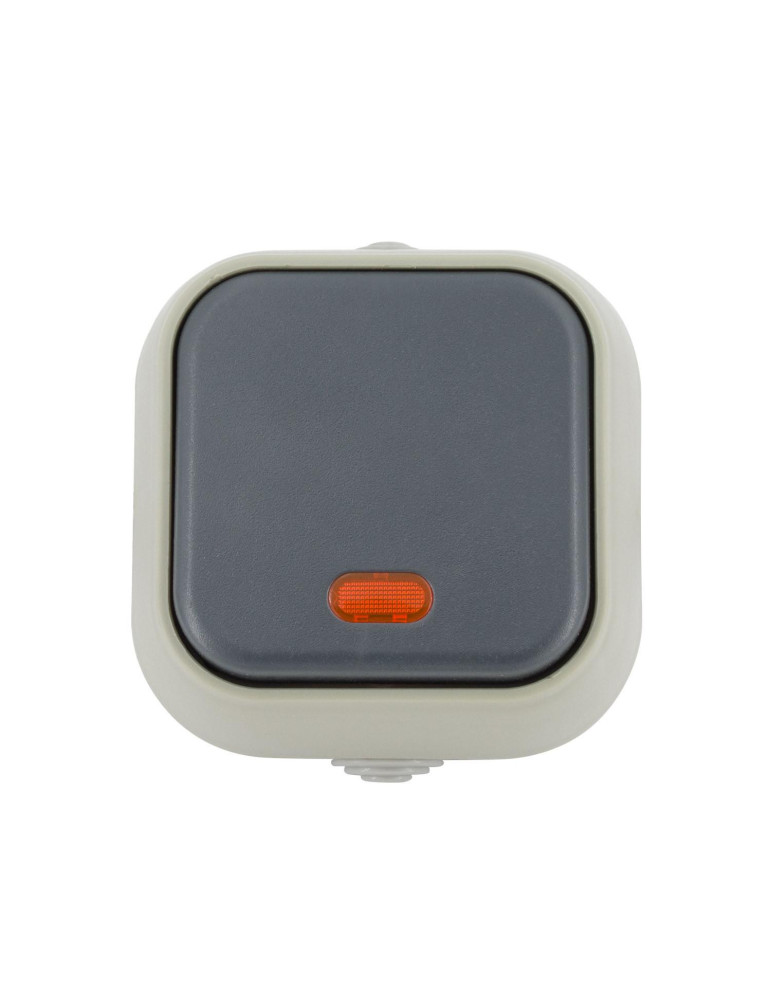 Interrupteur Simple avec Voyant Lumineux IP54