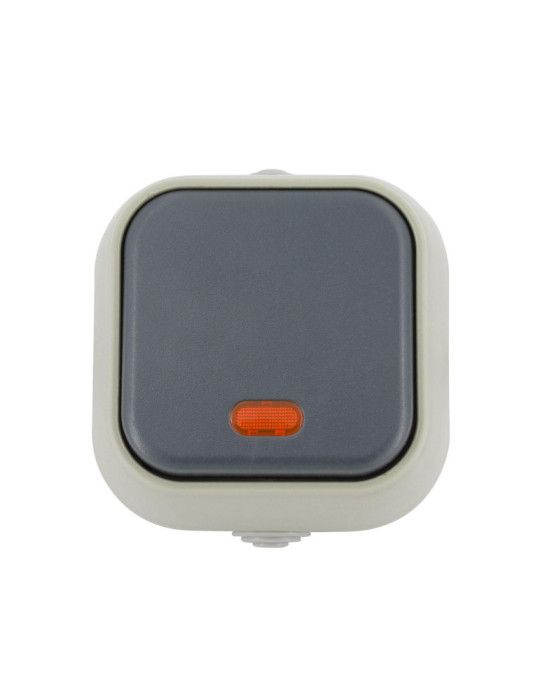 Interrupteur Simple avec Voyant Lumineux IP54