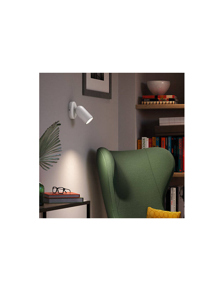 Plafonnier PHILIPS 1 Spot Pongee