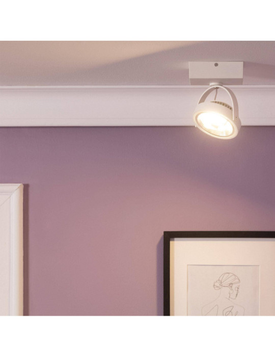 Spot LED 15W CREE en Saillie Orientable AR111 Dimmable Blanc