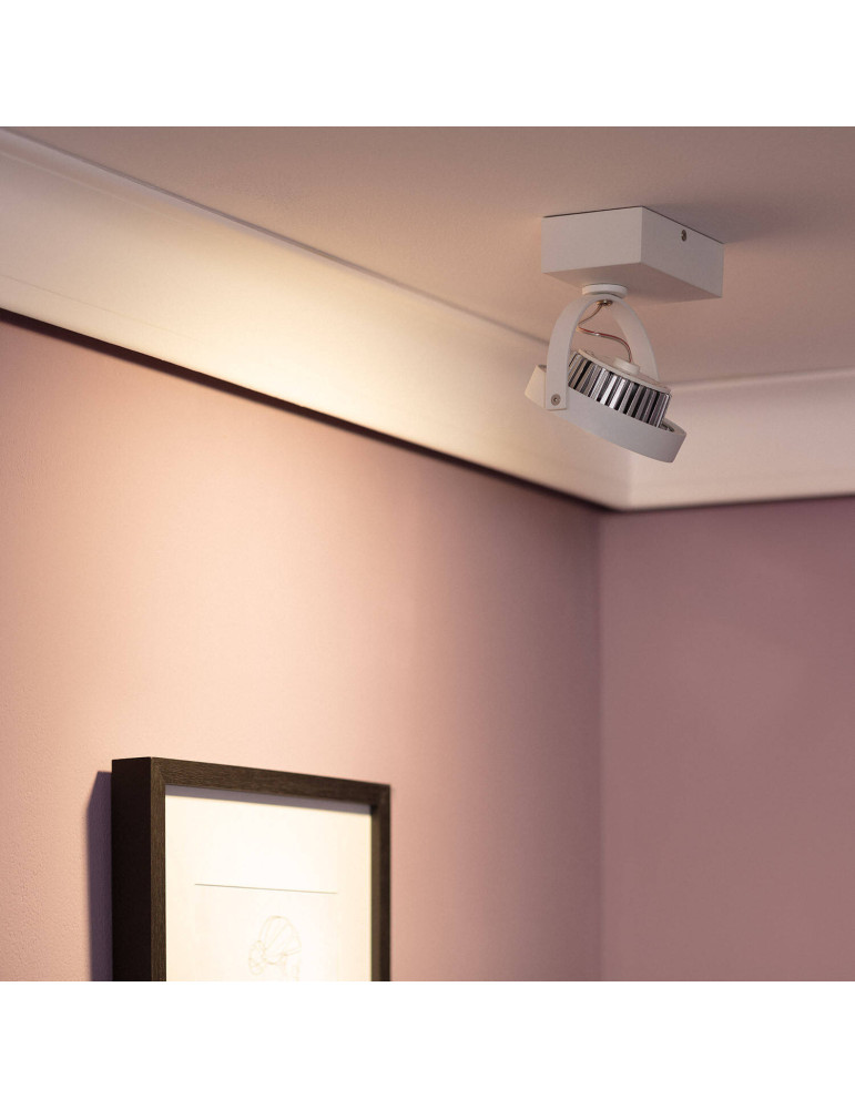 Spot LED 15W CREE en Saillie Orientable AR111 Dimmable Blanc